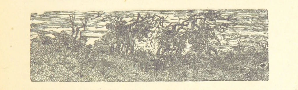 An illustration from Histoire de France. Deuxième édition, 1876, leaf 601