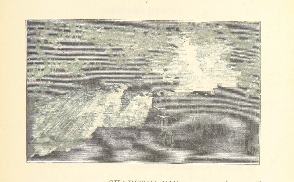An illustration from Histoire de France. Deuxième édition, 1876, leaf 295
