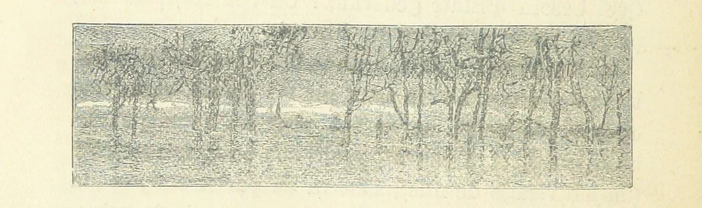 An illustration from Histoire de France. Deuxième édition, 1876, leaf 352
