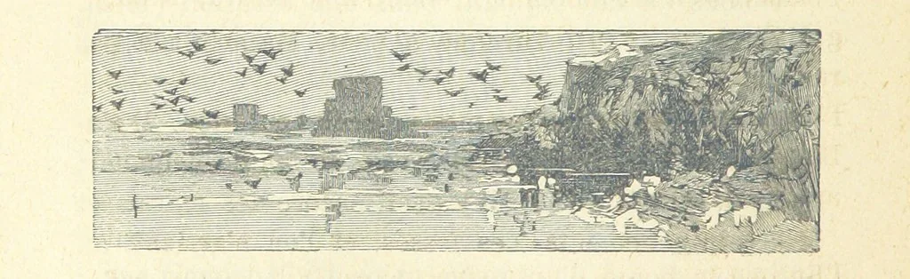 An illustration from Histoire de France. Deuxième édition, 1876, leaf 398