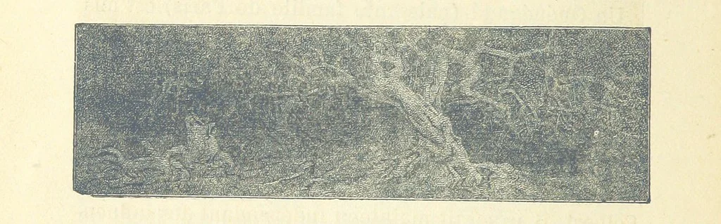An illustration from Histoire de France. Deuxième édition, 1876, leaf 478