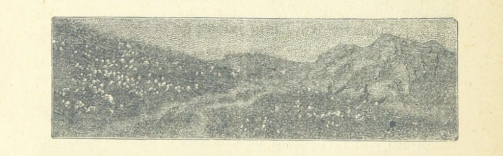 An illustration from Histoire de France. Deuxième édition, 1876, leaf 600