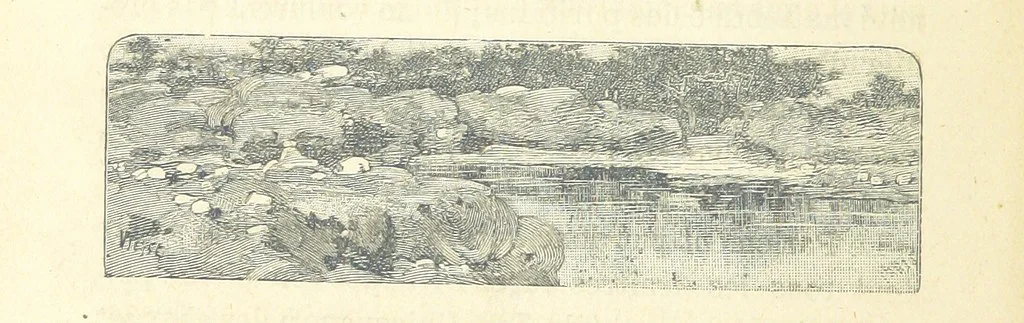 An illustration from Histoire de France. Deuxième édition, 1876, leaf 630