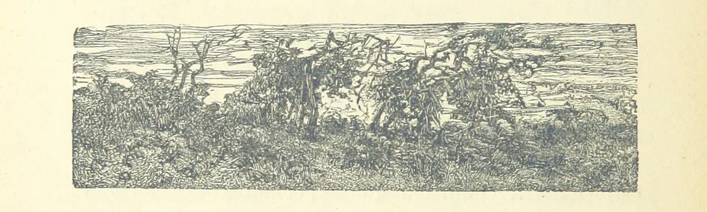 An illustration from Histoire de France. Deuxième édition, 1876, leaf 710