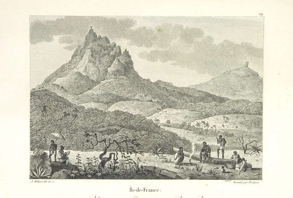 An illustration from Atlas, 1812, leaf 113