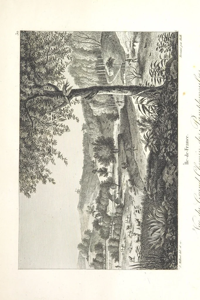 An illustration from Atlas, 1812, leaf 117