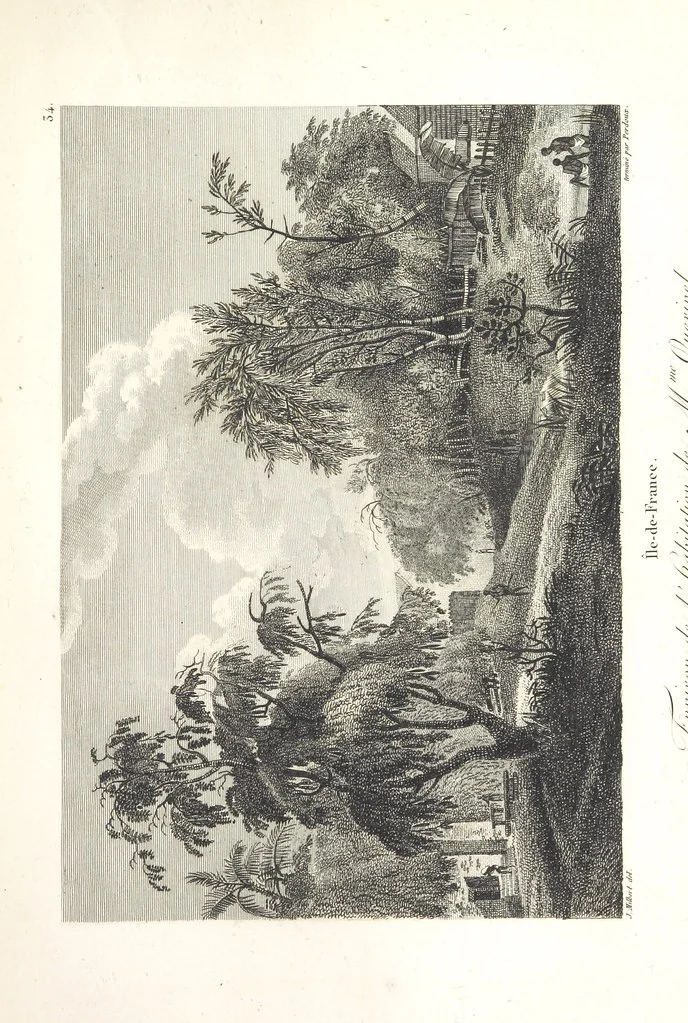 An illustration from Atlas, 1812, leaf 133