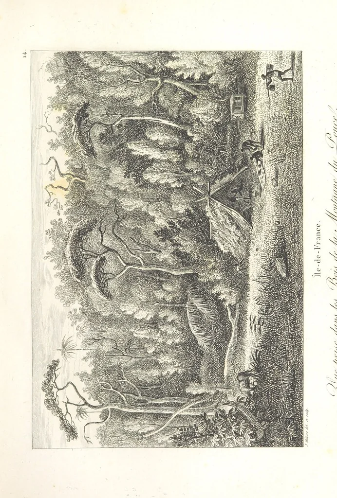 An illustration from Atlas, 1812, leaf 55