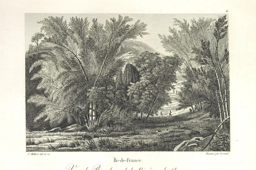 An illustration from Atlas, 1812, leaf 63