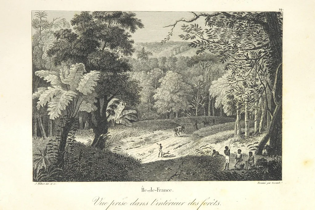 An illustration from Atlas, 1812, leaf 75