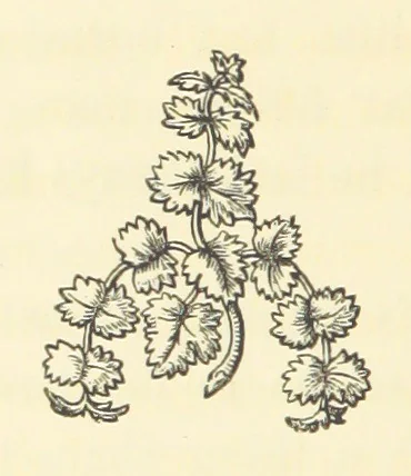An illustration from Life amongst the Modocs: unwritten history, 1873, leaf 104