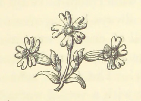 An illustration from Life amongst the Modocs: unwritten history, 1873, leaf 151