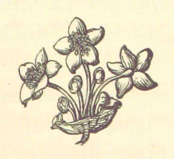 An illustration from Life amongst the Modocs: unwritten history, 1873, leaf 195