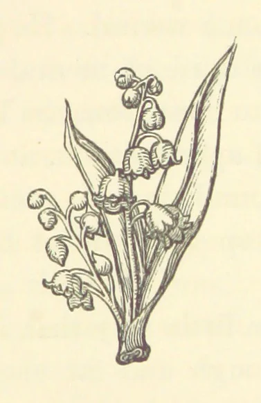 An illustration from Life amongst the Modocs: unwritten history, 1873, leaf 217