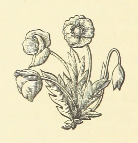 An illustration from Life amongst the Modocs: unwritten history, 1873, leaf 306