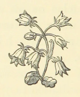 An illustration from Life amongst the Modocs: unwritten history, 1873, leaf 354