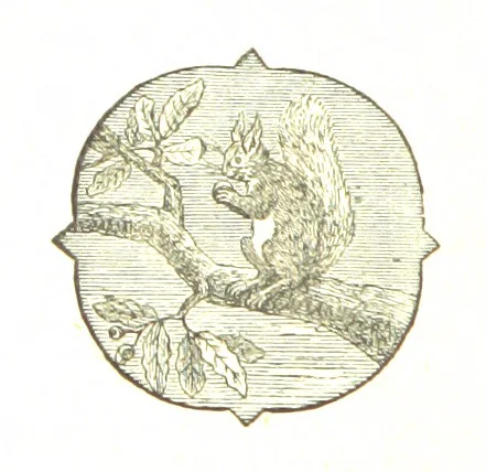 An illustration from The Poetical Works of John Milton, 1878, leaf 12
