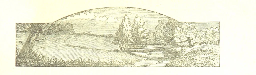 An illustration from The Poetical Works of John Milton, 1878, leaf 13