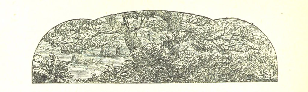 An illustration from The Poetical Works of John Milton, 1878, leaf 224