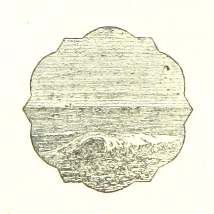 An illustration from The Poetical Works of John Milton, 1878, leaf 264