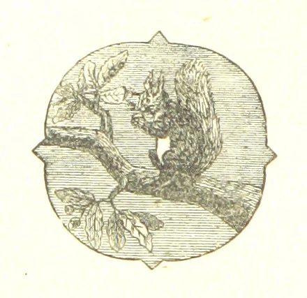 An illustration from The Poetical Works of John Milton, 1878, leaf 286