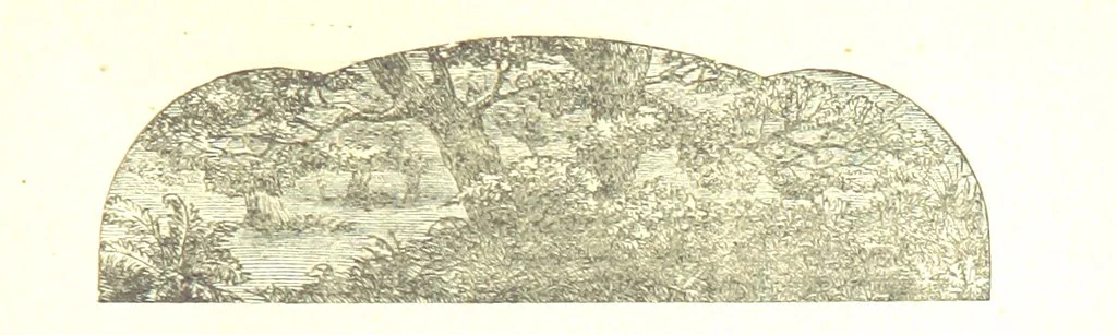 An illustration from The Poetical Works of John Milton, 1878, leaf 323