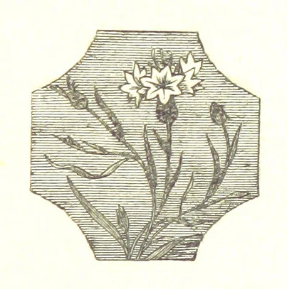 An illustration from The Poetical Works of John Milton, 1878, leaf 327