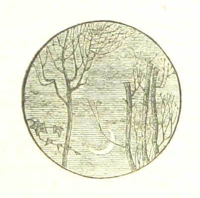 An illustration from The Poetical Works of John Milton, 1878, leaf 338