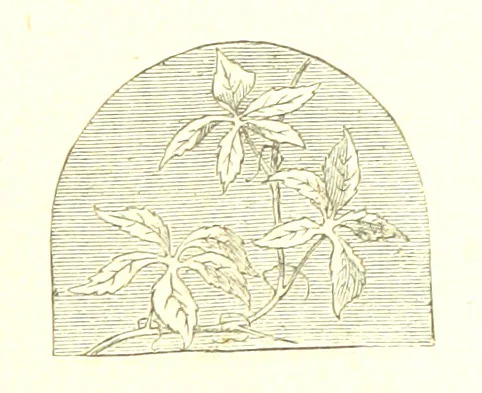 An illustration from The Poetical Works of John Milton, 1878, leaf 363