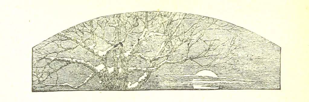 An illustration from The Poetical Works of John Milton, 1878, leaf 364