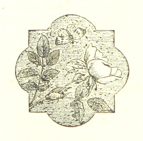 An illustration from The Poetical Works of John Milton, 1878, leaf 384