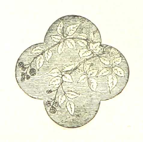 An illustration from The Poetical Works of John Milton, 1878, leaf 390