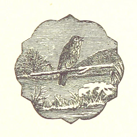 An illustration from The Poetical Works of John Milton, 1878, leaf 405