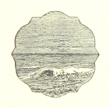 An illustration from The Poetical Works of John Milton, 1878, leaf 409