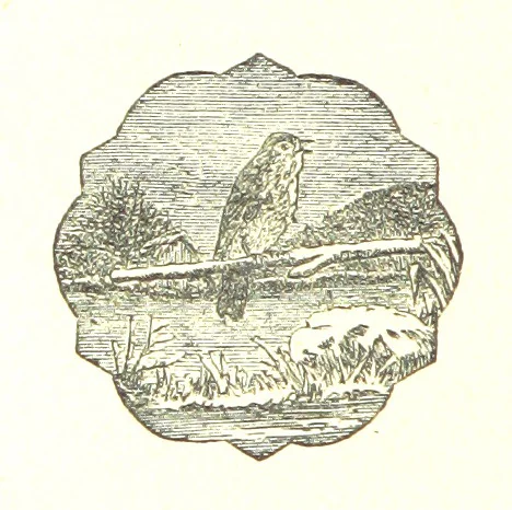 An illustration from The Poetical Works of John Milton, 1878, leaf 432