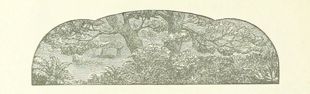 An illustration from Poems ... With notes. [With a portrait, 1881, leaf 252