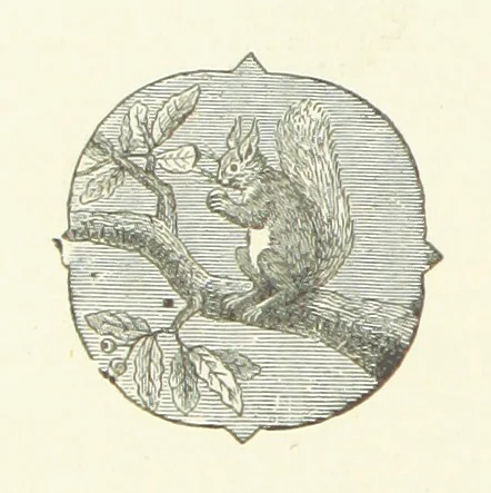 An illustration from Poems ... With notes. [With a portrait, 1881, leaf 318