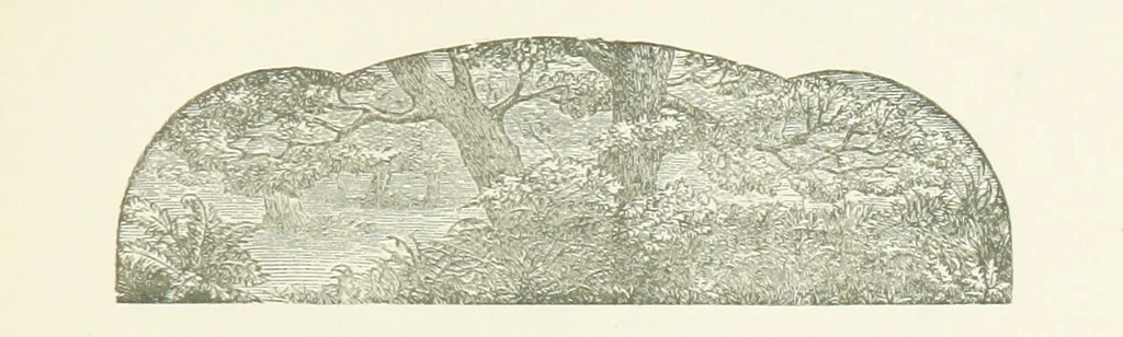 An illustration from Poems ... With notes. [With a portrait, 1881, leaf 359