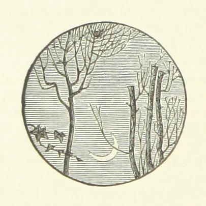 An illustration from Poems ... With notes. [With a portrait, 1881, leaf 374