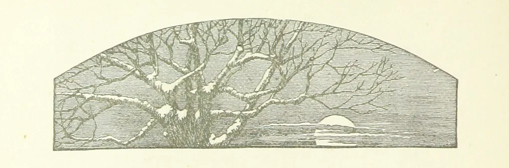 An illustration from Poems ... With notes. [With a portrait, 1881, leaf 400