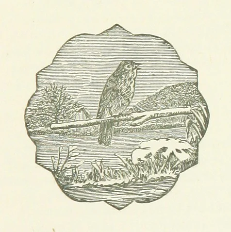 An illustration from Poems ... With notes. [With a portrait, 1881, leaf 441