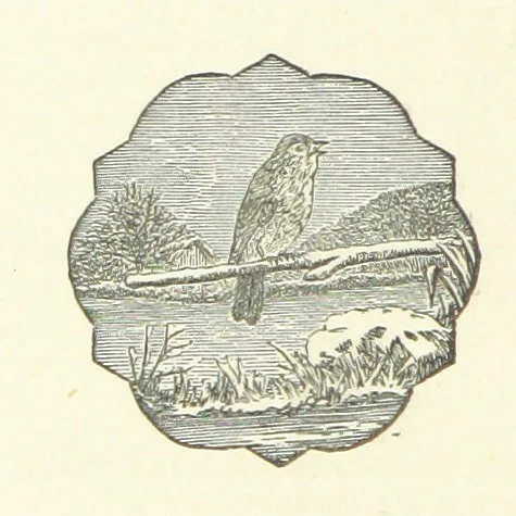 An illustration from Poems ... With notes. [With a portrait, 1881, leaf 468