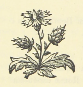 An illustration from The Poetical Works of John Milton, printed from the original editions. With a life of the author by A. Chalmers ... With twelve illustrations by R. Westall, 1881, leaf 12
