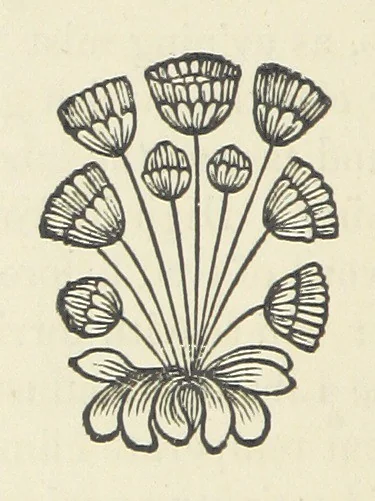 An illustration from The Poetical Works of John Milton, printed from the original editions. With a life of the author by A. Chalmers ... With twelve illustrations by R. Westall, 1881, leaf 400