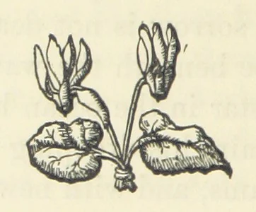 An illustration from The Poetical Works of John Milton, printed from the original editions. With a life of the author by A. Chalmers ... With twelve illustrations by R. Westall, 1881, leaf 584