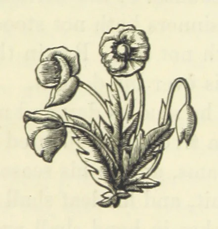 An illustration from The Poetical Works of John Milton, printed from the original editions. With a life of the author by A. Chalmers ... With twelve illustrations by R. Westall, 1881, leaf 657