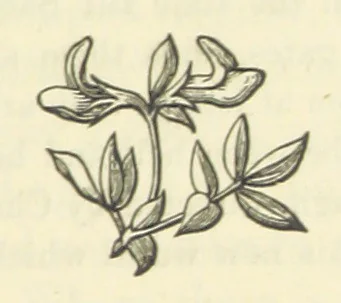 An illustration from The Poetical Works of John Milton, printed from the original editions. With a life of the author by A. Chalmers ... With twelve illustrations by R. Westall, 1881, leaf 71