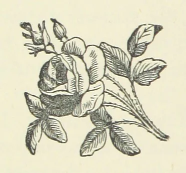 An illustration from Crane Court. [A novel, 1888, leaf 214