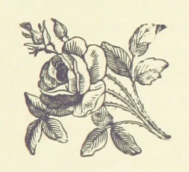 An illustration from Crane Court. [A novel, 1888, leaf 271