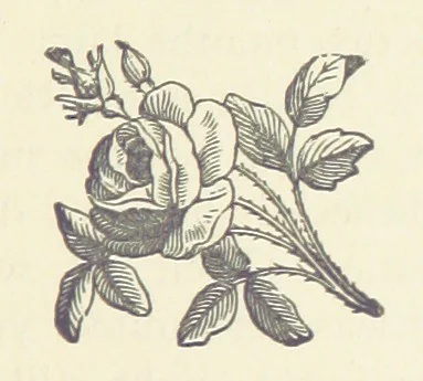 An illustration from Crane Court. [A novel, 1888, leaf 299